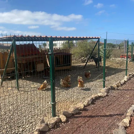 Mini Casa Arcoiris Tenerife Lodge Guía de Isora